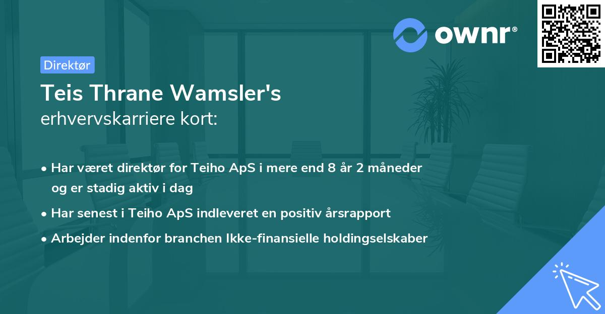 Teis Thrane Wamsler's erhvervskarriere kort