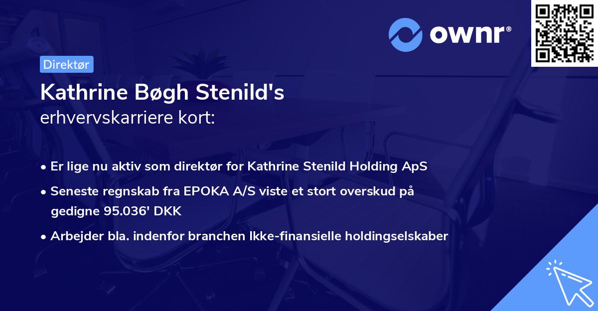 Kathrine Bøgh Stenild's erhvervskarriere kort