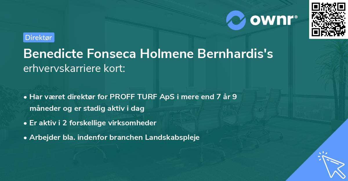 Benedicte Fonseca Holmene Bernhardis's erhvervskarriere kort