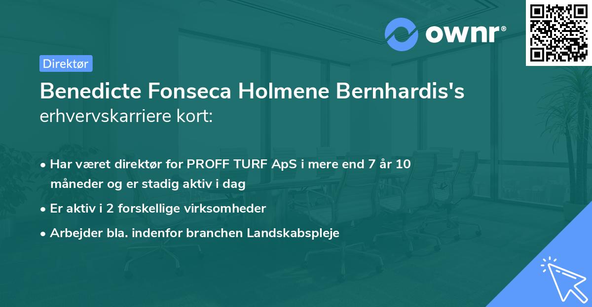 Benedicte Fonseca Holmene Bernhardis's erhvervskarriere kort