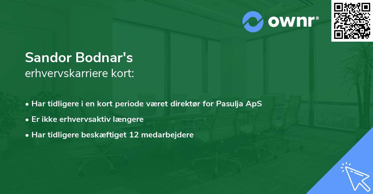 Sandor Bodnar's erhvervskarriere kort