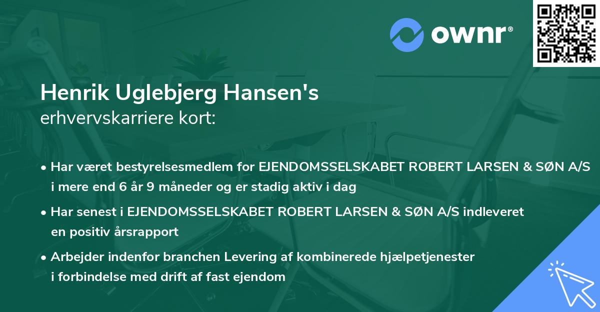 Henrik Uglebjerg Hansen's erhvervskarriere kort