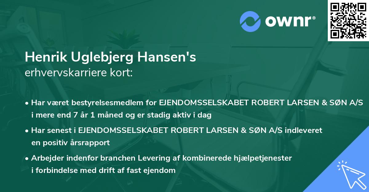 Henrik Uglebjerg Hansen's erhvervskarriere kort