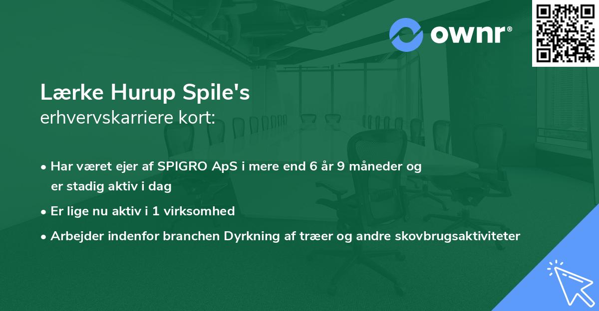 Lærke Hurup Spile's erhvervskarriere kort