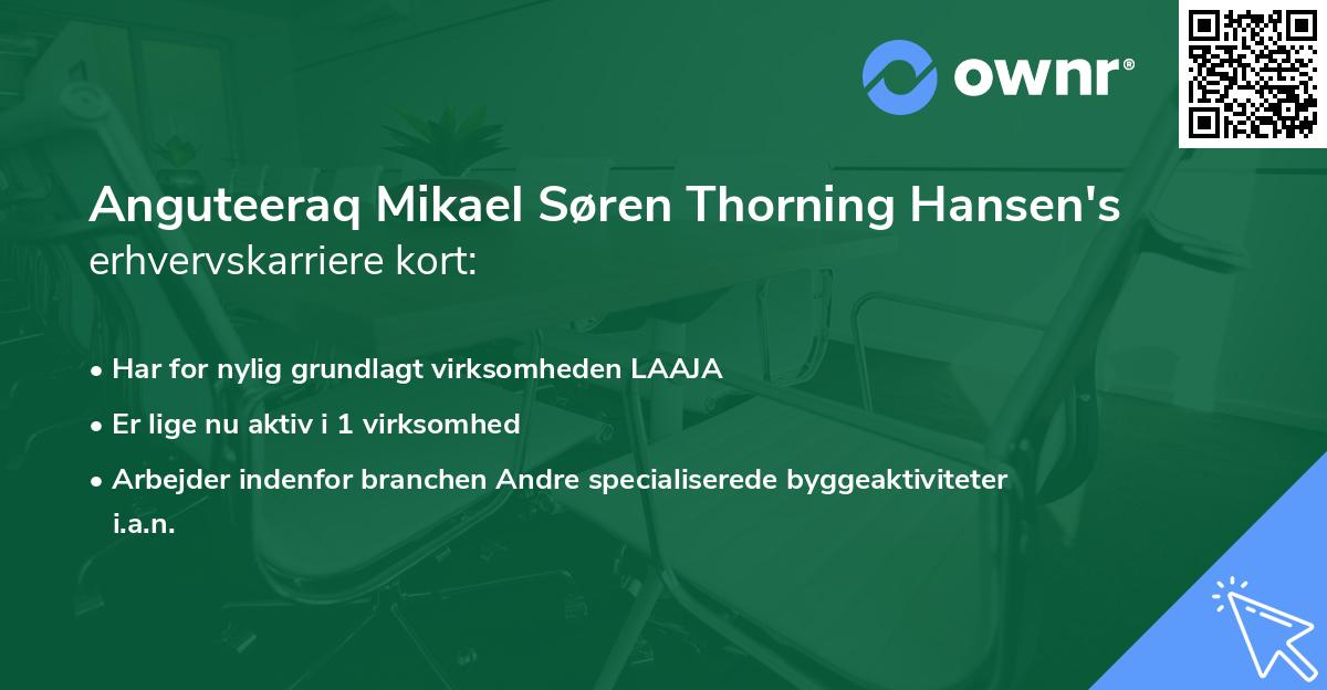 Anguteeraq Mikael Søren Thorning Hansen's erhvervskarriere kort