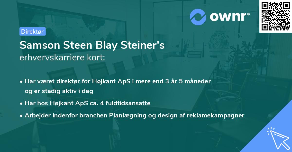 Samson Steen Blay Steiner's erhvervskarriere kort