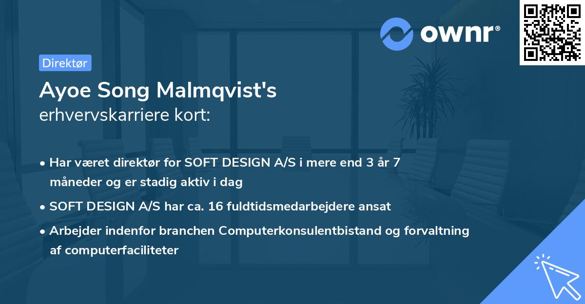 Ayoe Song Malmqvist's erhvervskarriere kort
