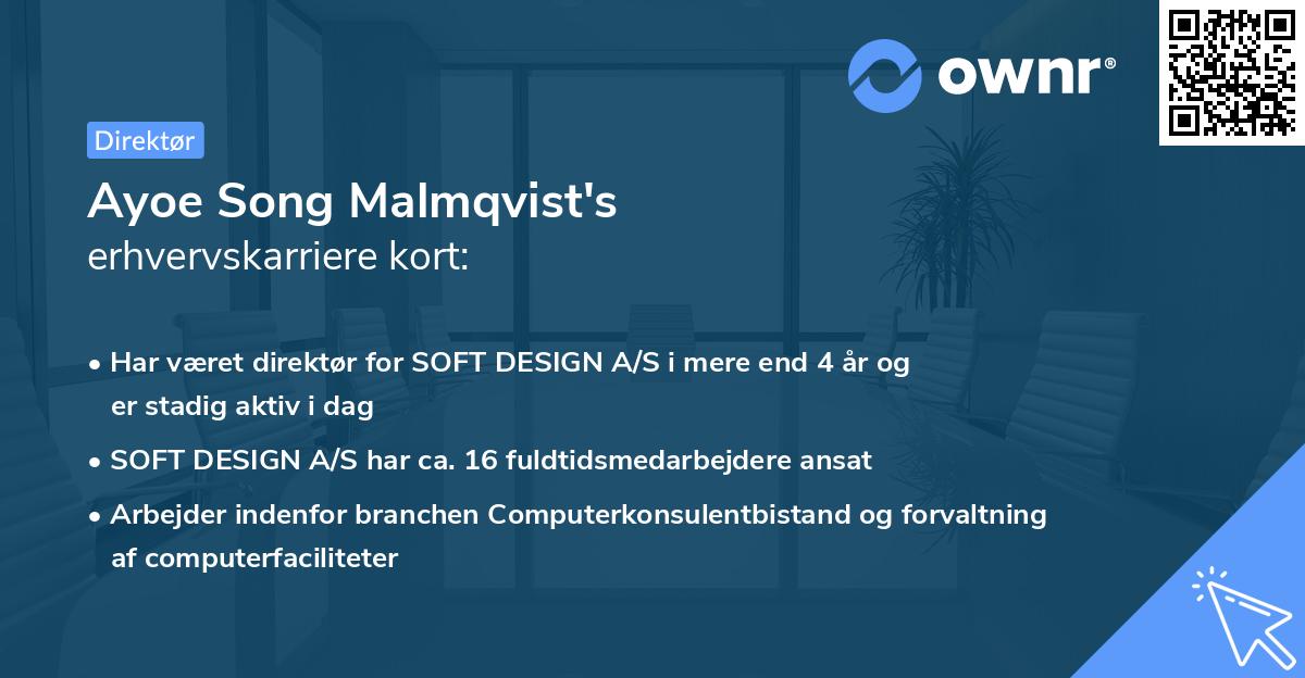 Ayoe Song Malmqvist's erhvervskarriere kort