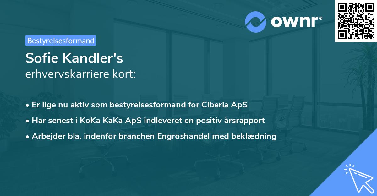 Sofie Kandler's erhvervskarriere kort