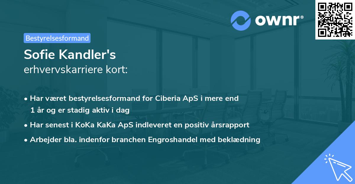 Sofie Kandler's erhvervskarriere kort