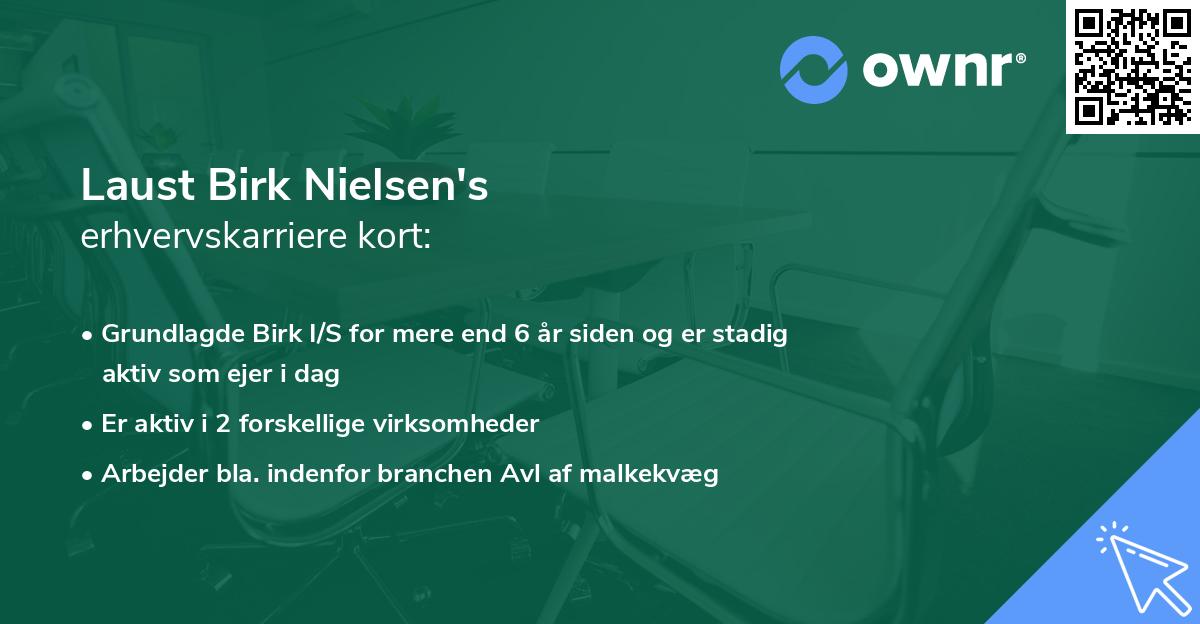 Laust Birk Nielsen's erhvervskarriere kort