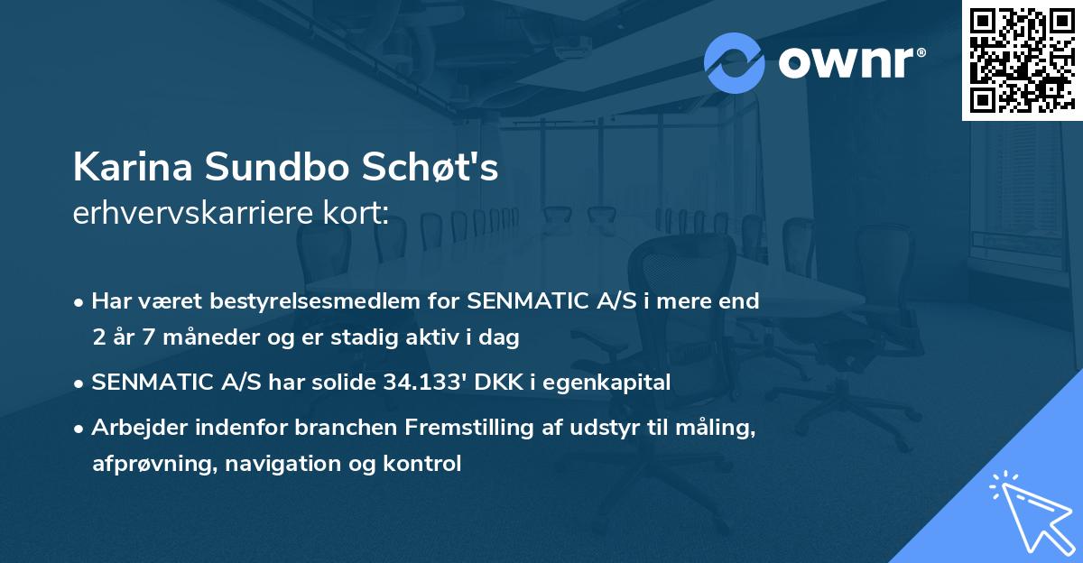 Karina Sundbo Schøt's erhvervskarriere kort