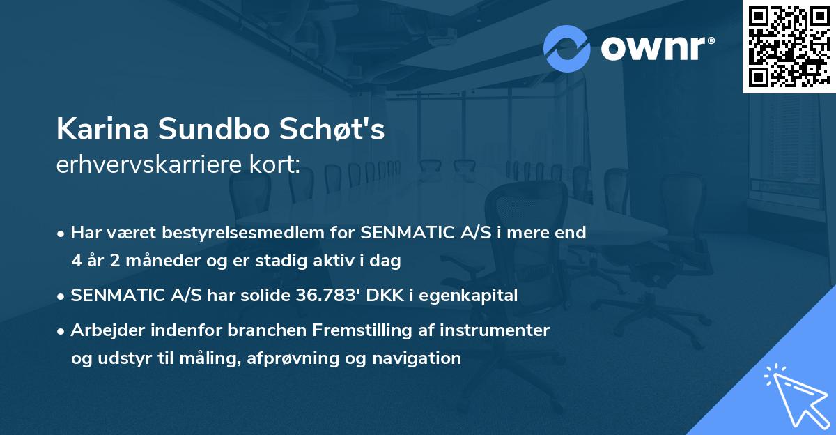 Karina Sundbo Schøt's erhvervskarriere kort