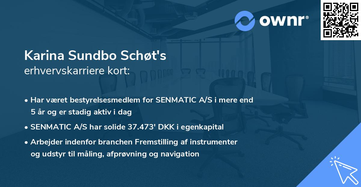 Karina Sundbo Schøt's erhvervskarriere kort