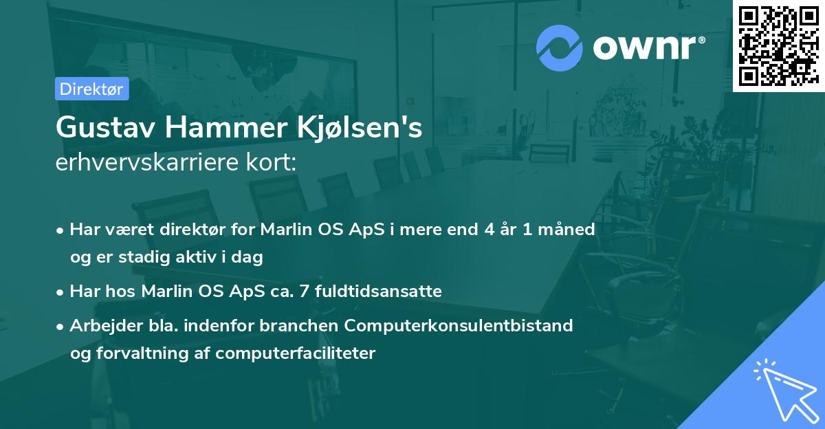 Gustav Hammer Kjølsen's erhvervskarriere kort