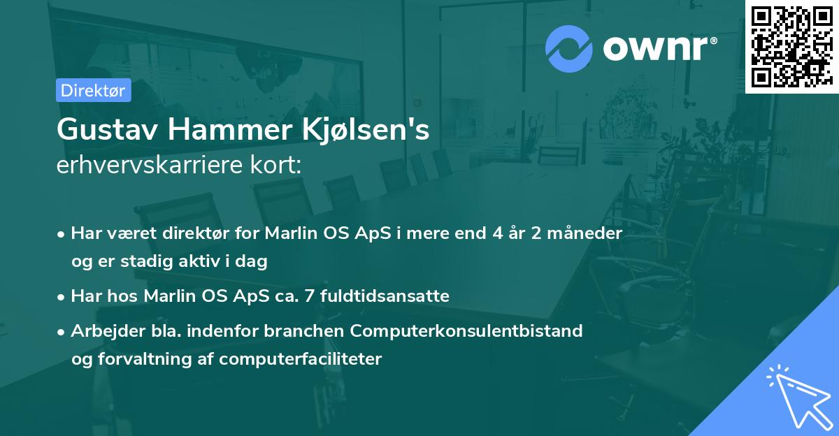 Gustav Hammer Kjølsen's erhvervskarriere kort