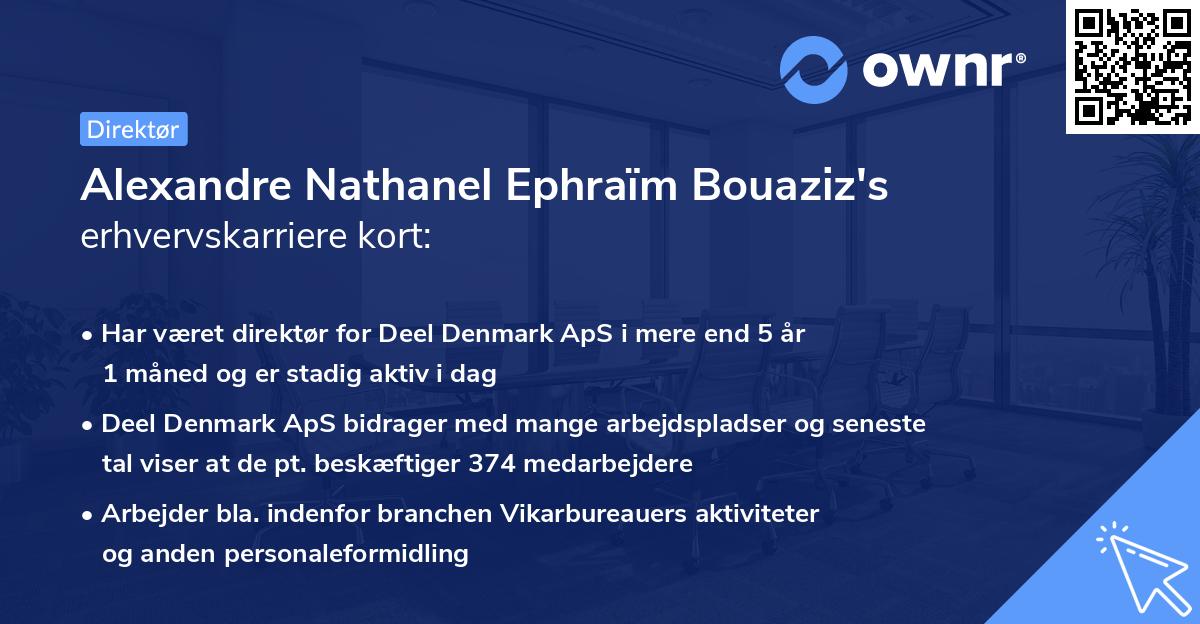 Alexandre Nathanel Ephraïm Bouaziz's erhvervskarriere kort