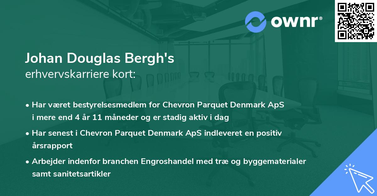 Johan Douglas Bergh's erhvervskarriere kort
