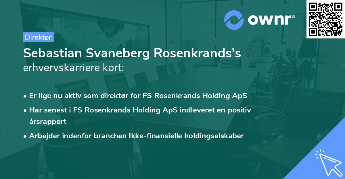 Sebastian Svaneberg Rosenkrands's erhvervskarriere kort