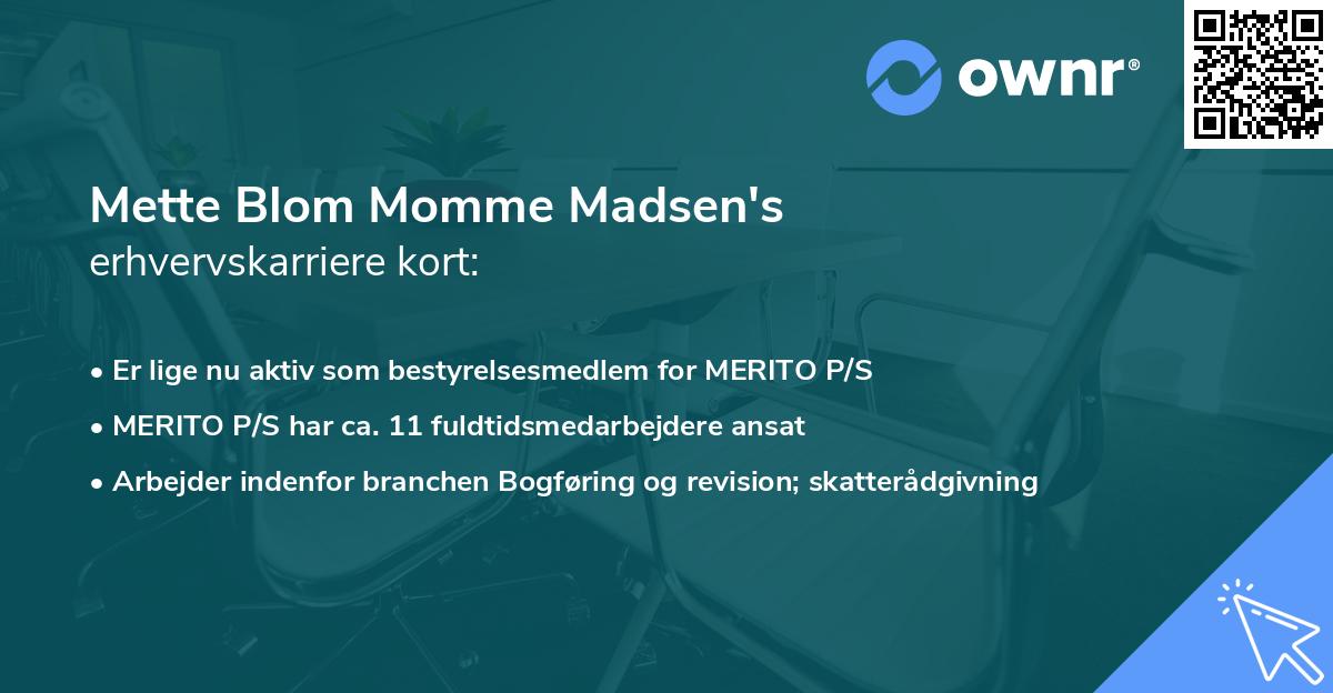Mette Blom Momme Madsen's erhvervskarriere kort