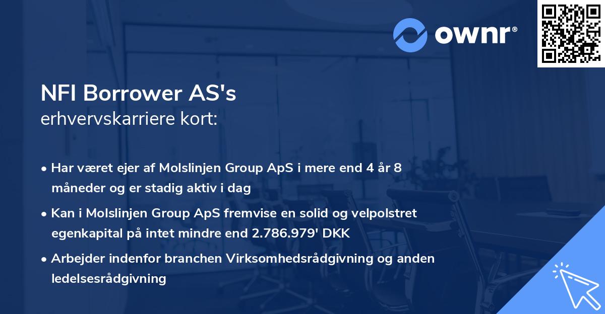 NFI Borrower AS's erhvervskarriere kort
