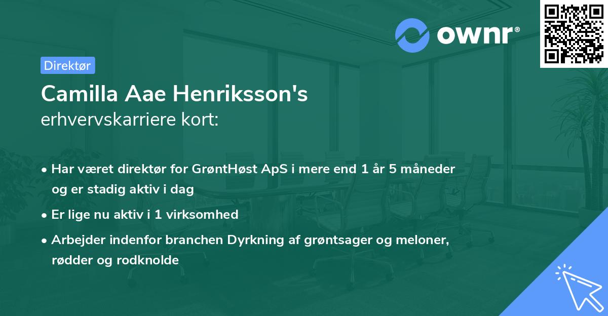 Camilla Aae Henriksson's erhvervskarriere kort