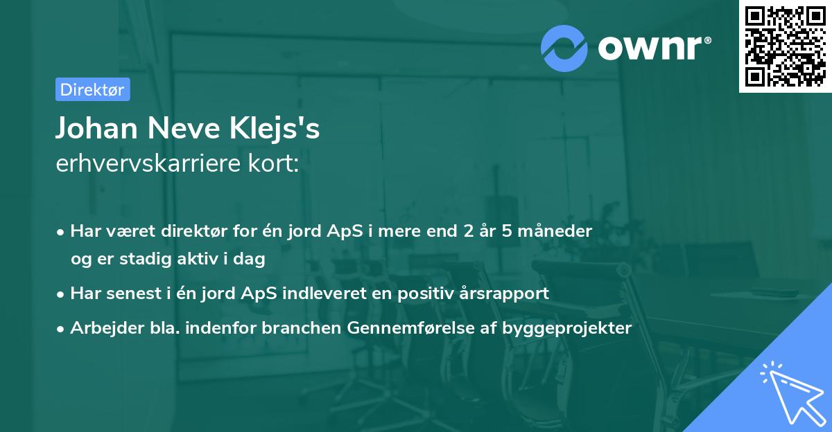 Johan Neve Klejs's erhvervskarriere kort