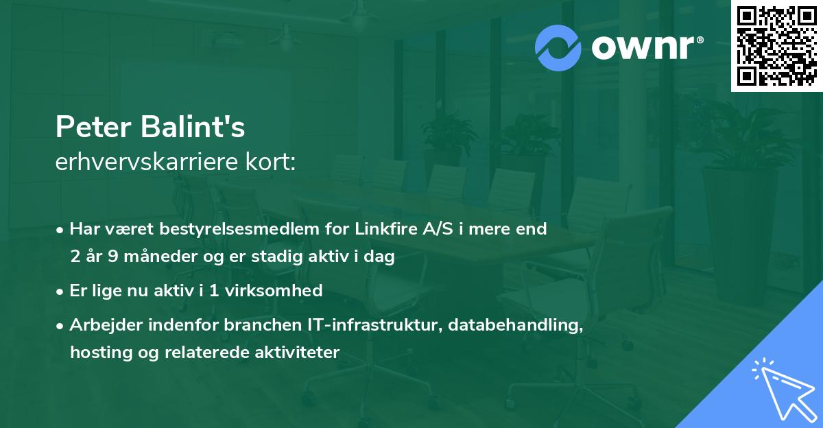 Peter Balint's erhvervskarriere kort