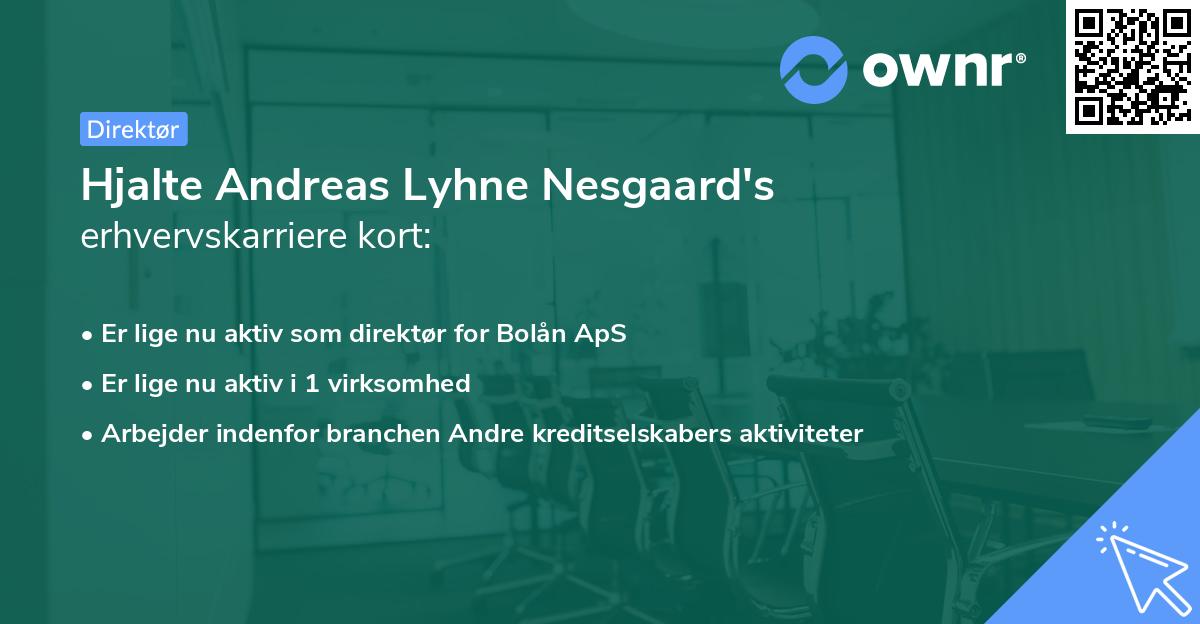 Hjalte Andreas Lyhne Nesgaard's erhvervskarriere kort