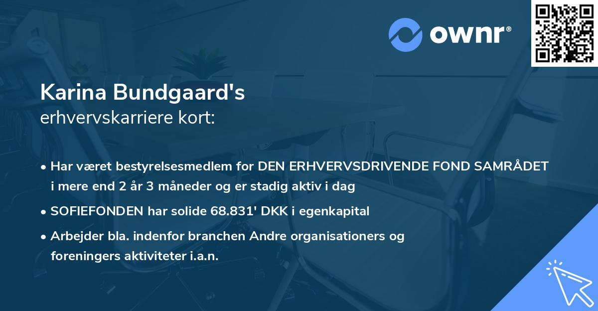Karina Bundgaard's erhvervskarriere kort