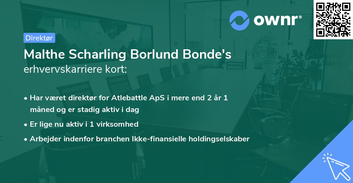 Malthe Scharling Borlund Bonde's erhvervskarriere kort