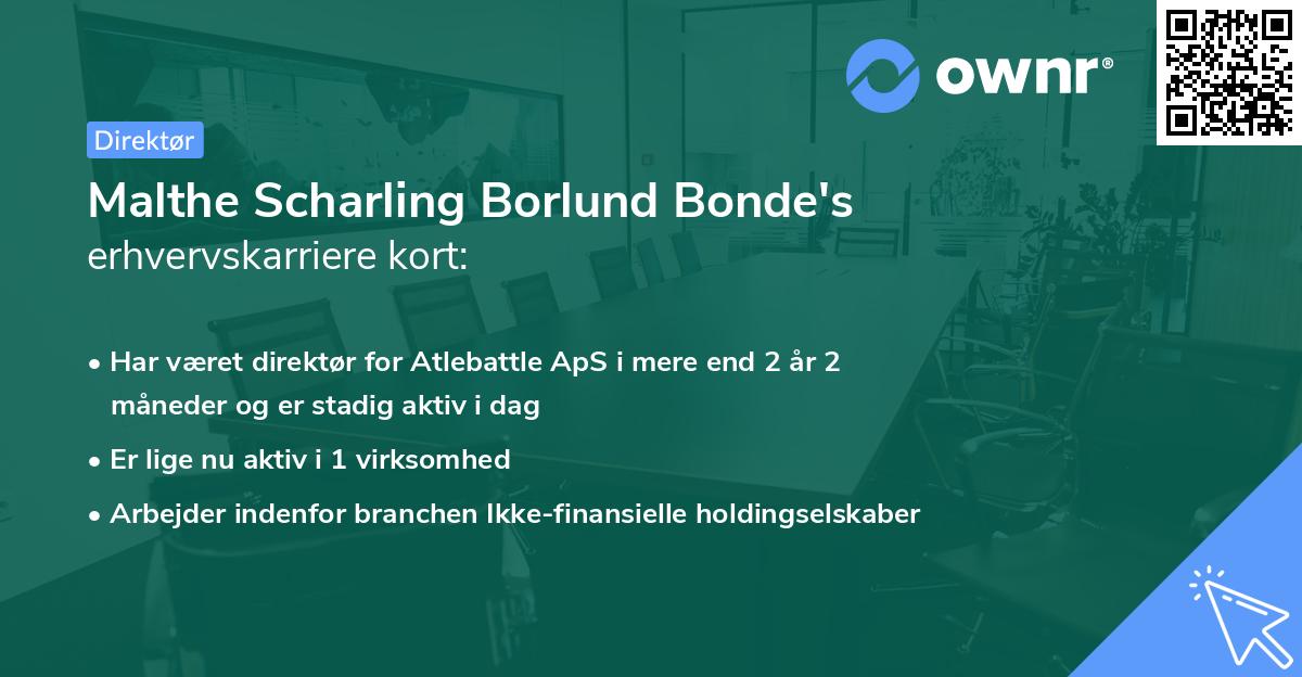 Malthe Scharling Borlund Bonde's erhvervskarriere kort