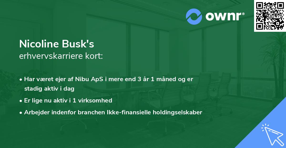 Nicoline Busk's erhvervskarriere kort