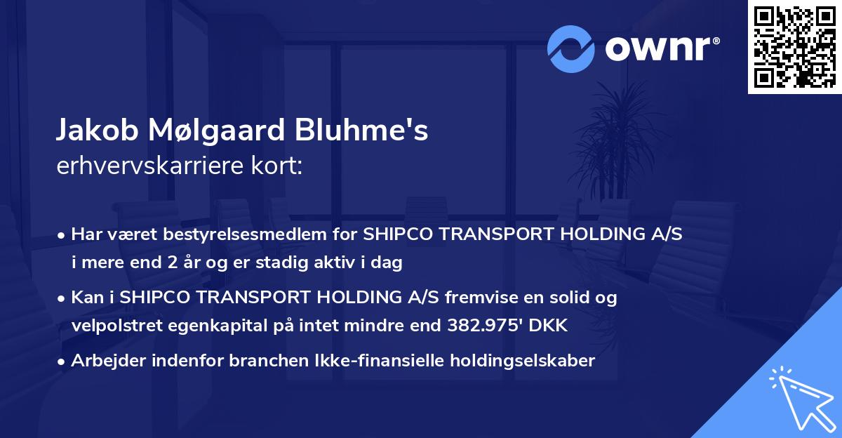 Jakob Mølgaard Bluhme's erhvervskarriere kort