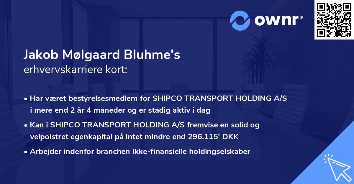 Jakob Mølgaard Bluhme's erhvervskarriere kort