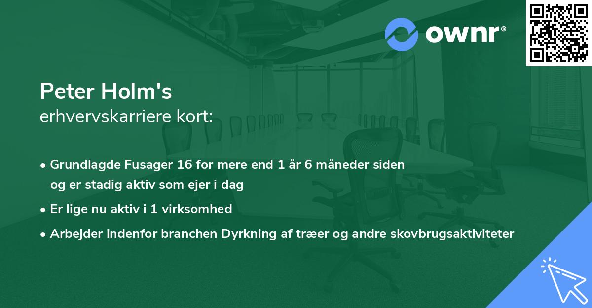 Peter Holm's erhvervskarriere kort