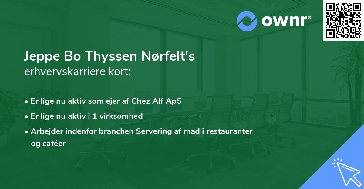 Jeppe Bo Thyssen Nørfelt's erhvervskarriere kort