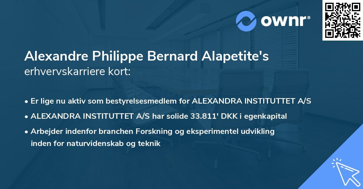 Alexandre Philippe Bernard Alapetite's erhvervskarriere kort