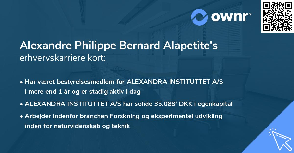 Alexandre Philippe Bernard Alapetite's erhvervskarriere kort