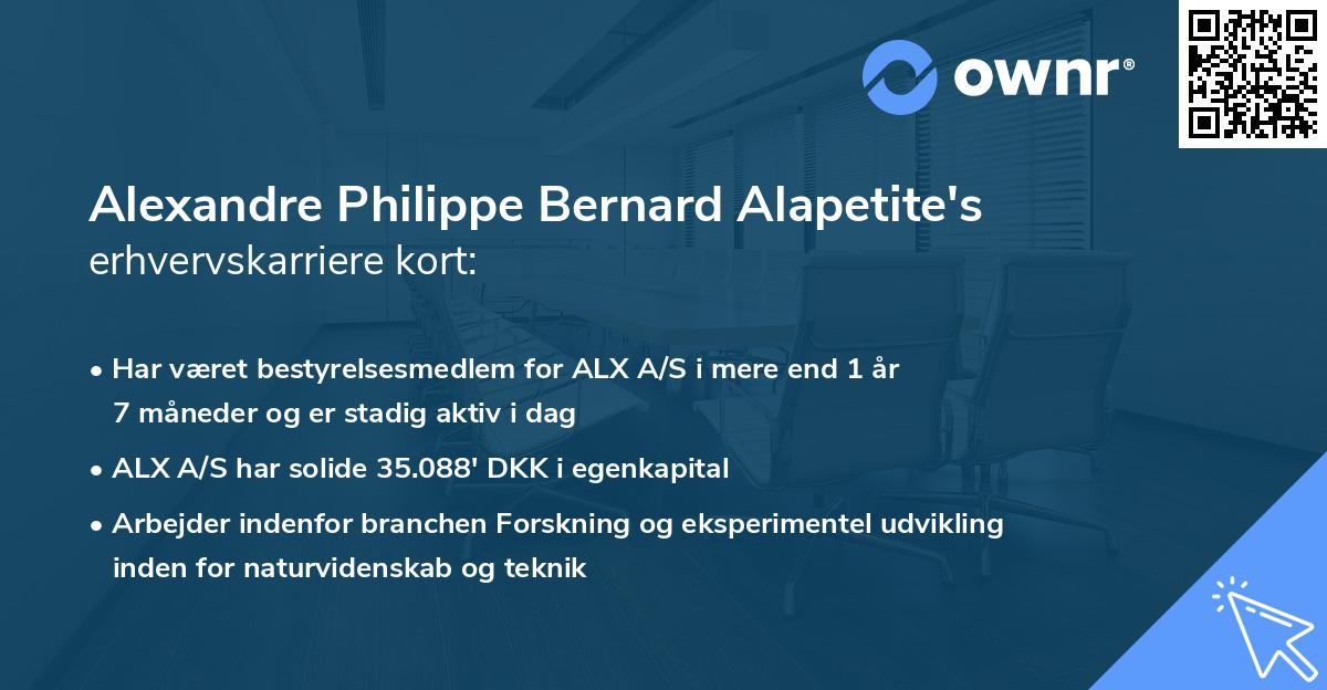 Alexandre Philippe Bernard Alapetite's erhvervskarriere kort