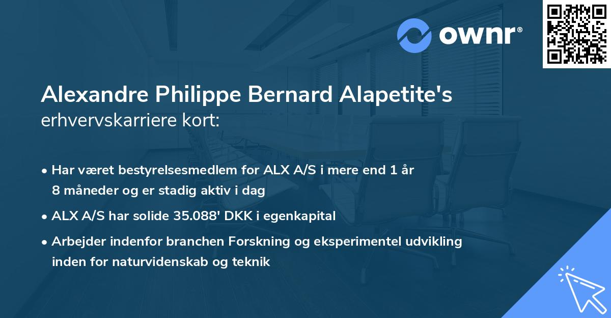 Alexandre Philippe Bernard Alapetite's erhvervskarriere kort