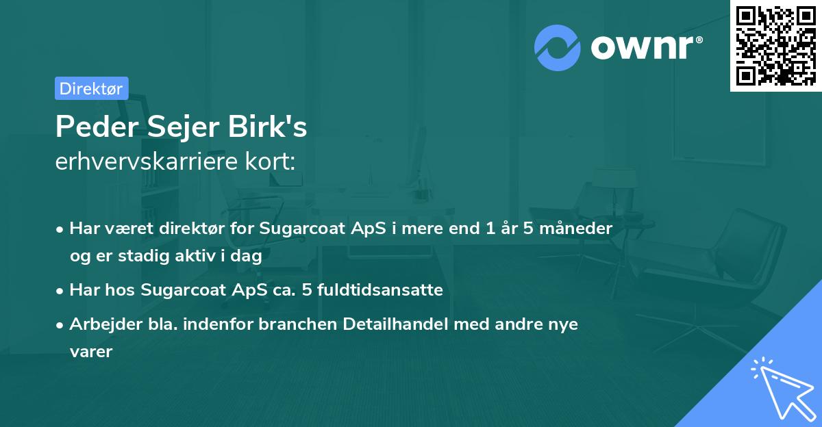 Peder Sejer Birk's erhvervskarriere kort