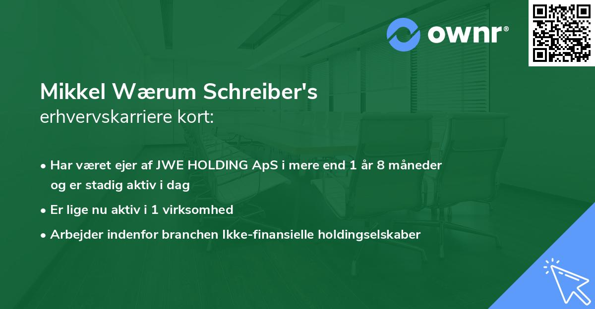 Mikkel Wærum Schreiber's erhvervskarriere kort