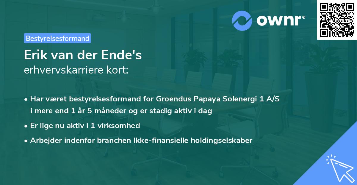 Erik van der Ende's erhvervskarriere kort