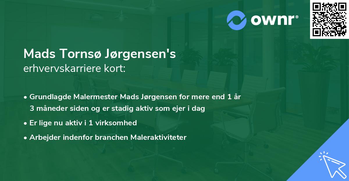 Mads Tornsø Jørgensen's erhvervskarriere kort