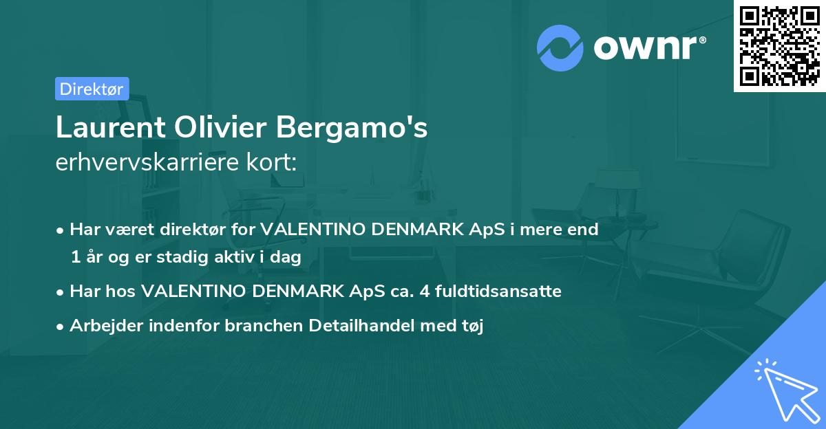 Laurent Olivier Bergamo's erhvervskarriere kort