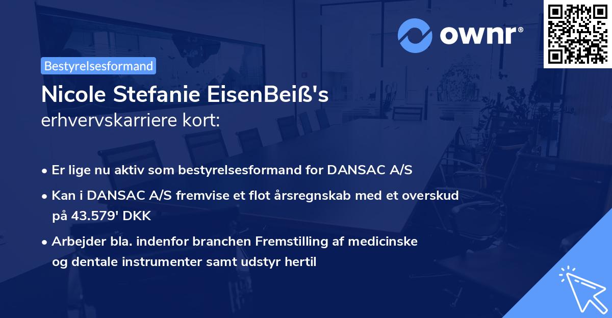 Nicole Stefanie EisenBeiß's erhvervskarriere kort