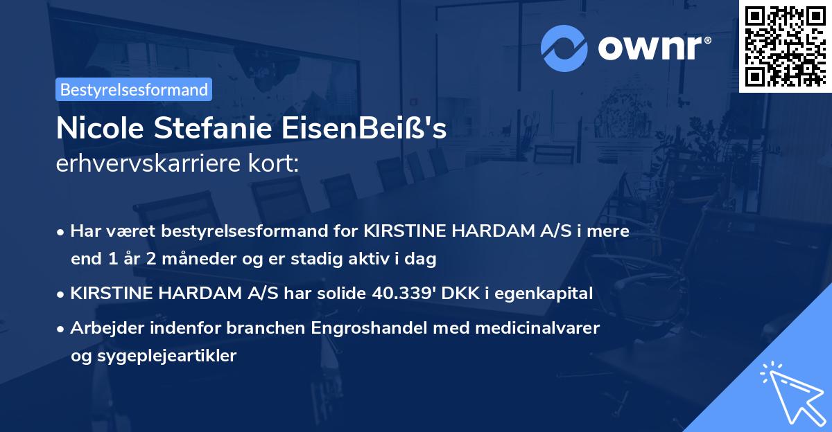 Nicole Stefanie EisenBeiß's erhvervskarriere kort