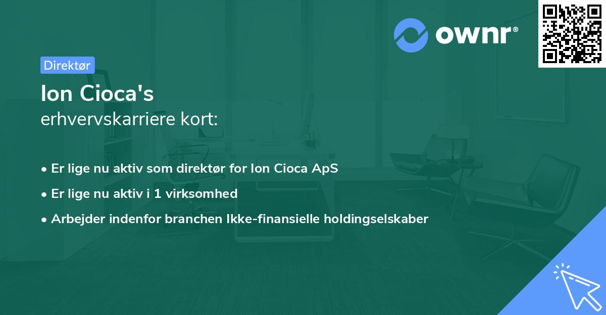 Ion Cioca's erhvervskarriere kort