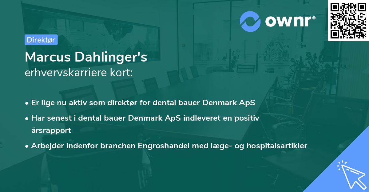 Marcus Dahlinger's erhvervskarriere kort